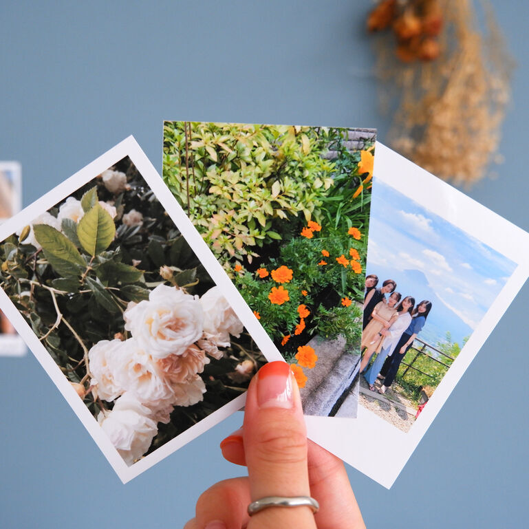 たないち   ※たないち様以外が購入した場合プリントした写真を送ります。