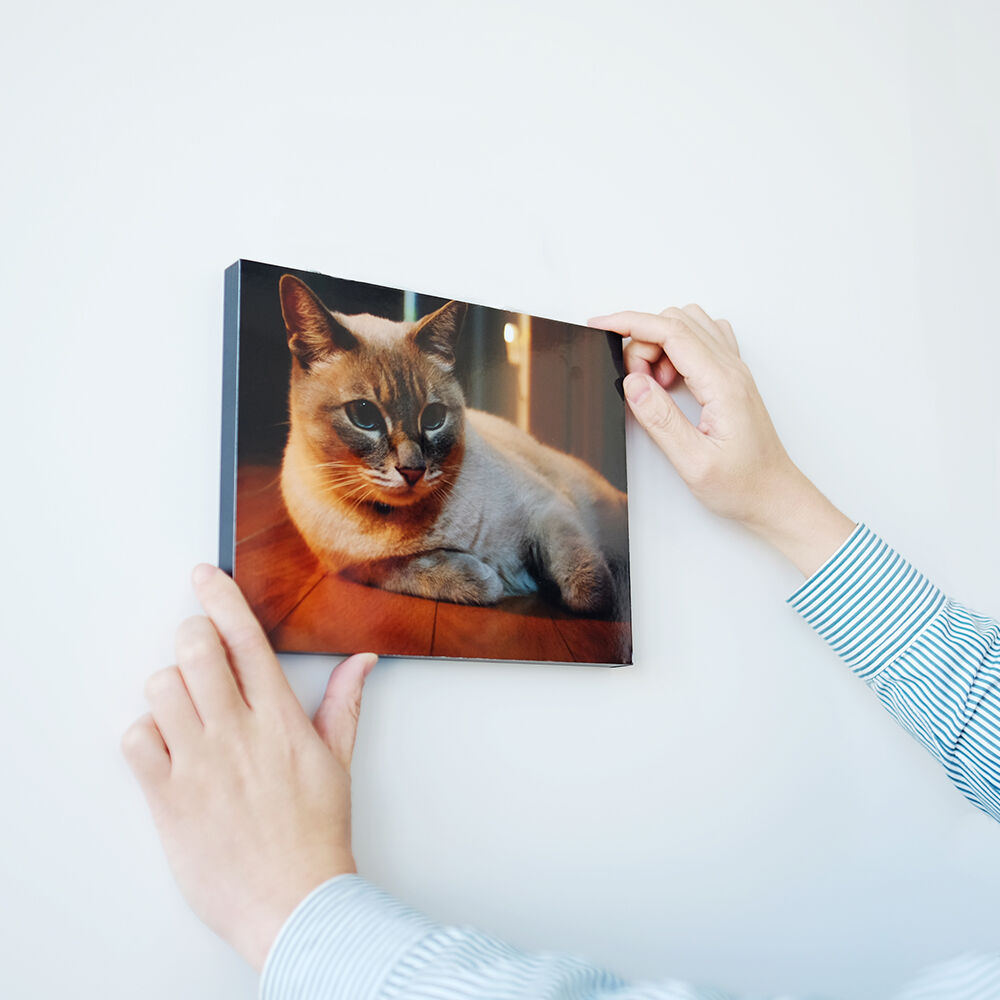 WALL DÉCOR カジュアル A2 グロッシー | カメラのキタムラ